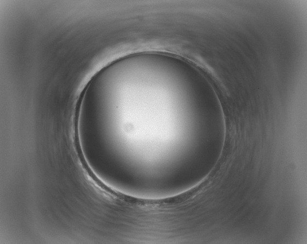 X0000080781512200612151415