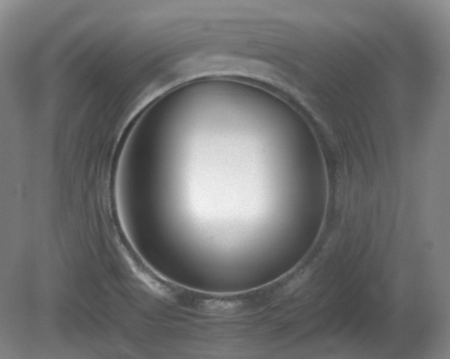 X0000080781513200612151415