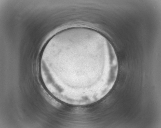 X0000080781514200612151415