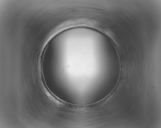 X0000080781516200612151415