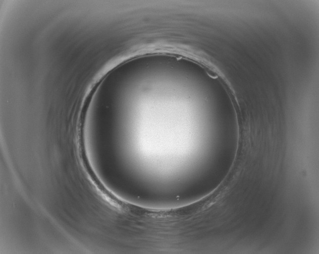 X0000080781525200612151416