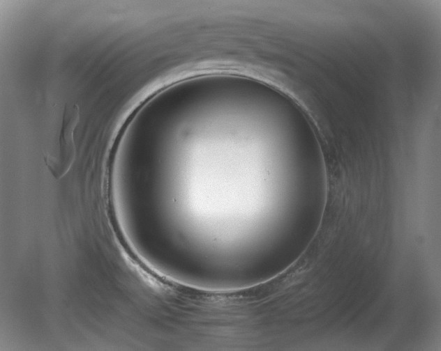 X0000080781527200612151416