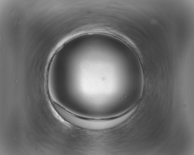 X0000080781528200612151416