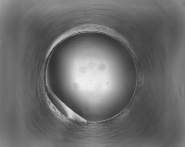 X0000080781530200612151416