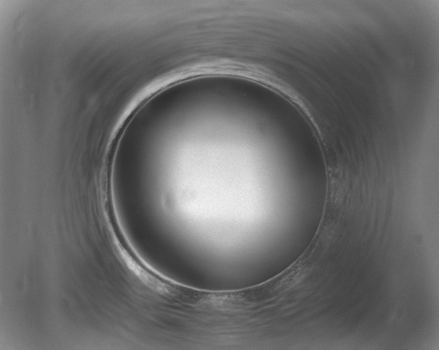 X0000080781531200612151416