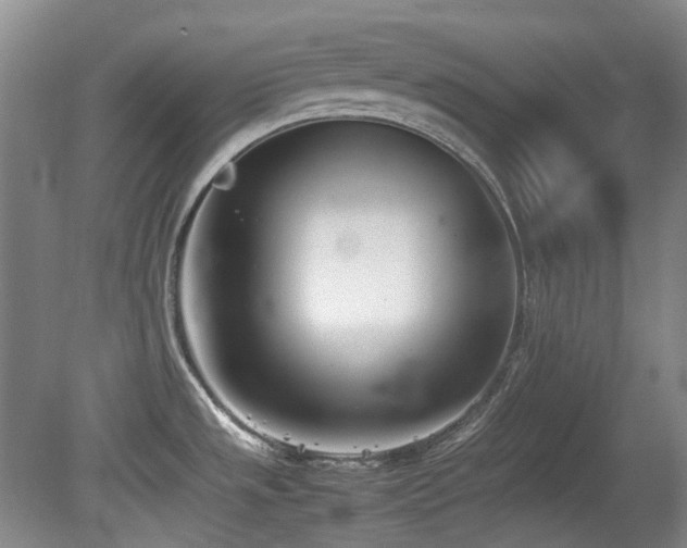 X0000080781533200612151416