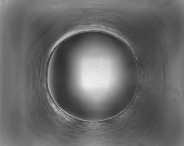 X0000080781534200612151416