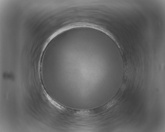 X0000080781535200612151416
