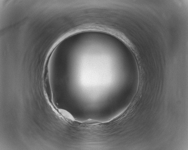 X0000080781536200612151416