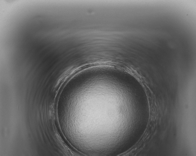 X0000080780002200612221514