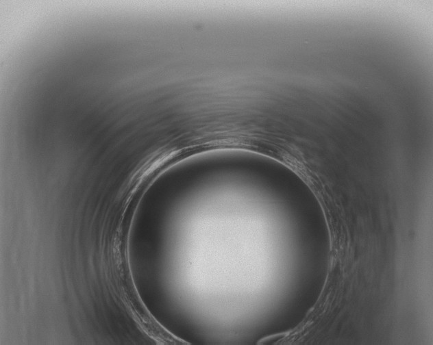X0000080780050200612221513