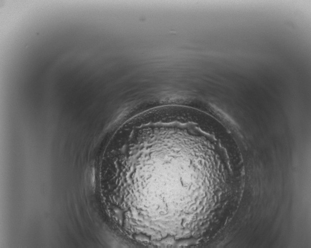 X0000080780067200612221513