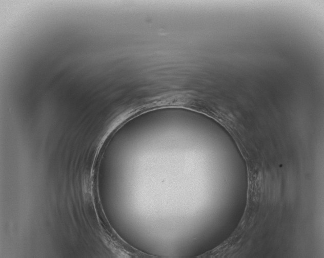 X0000080780100200612221513