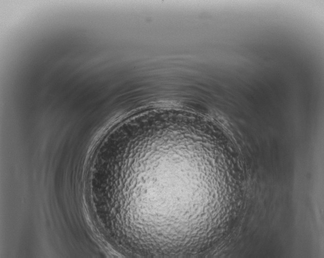 X0000080780145200612221511