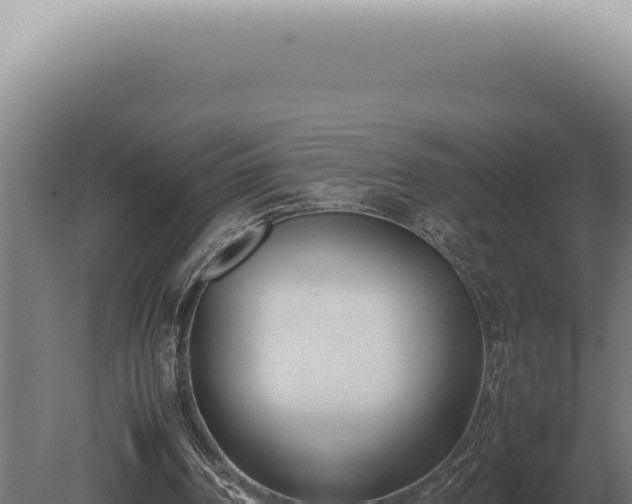 X0000080780194200612221511