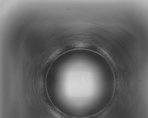 X0000080780257200612221510