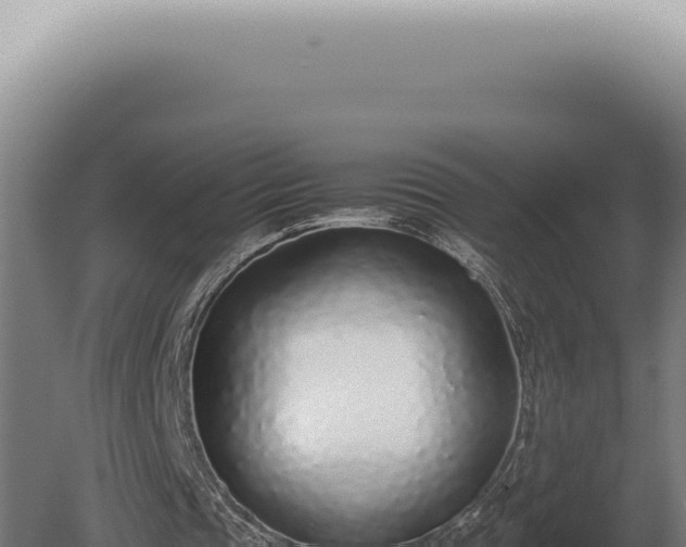 X0000080780337200612221508