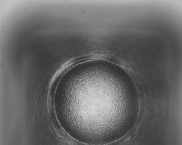 X0000080780343200612221508