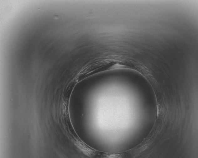 X0000080780382200612221508