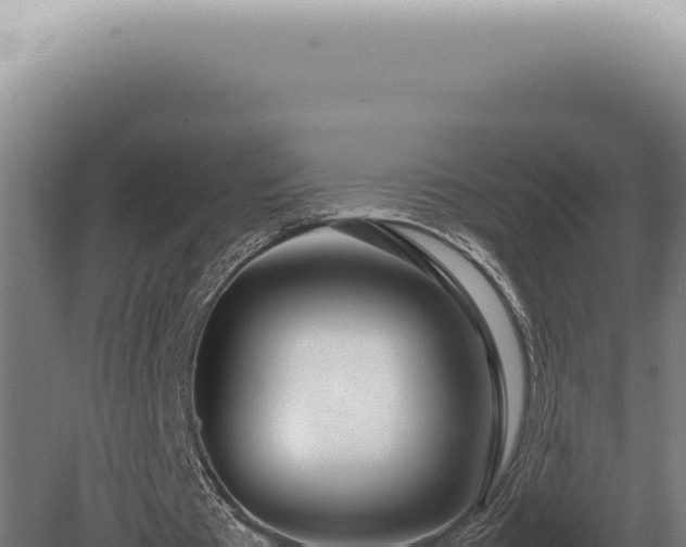 X0000080780385200612221508