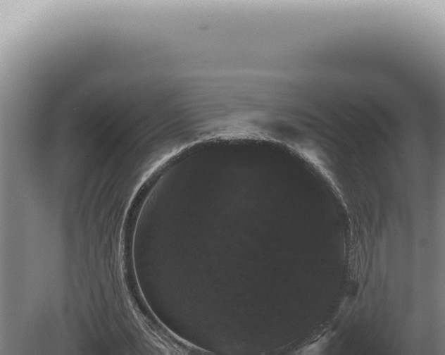 X0000080780391200612221508