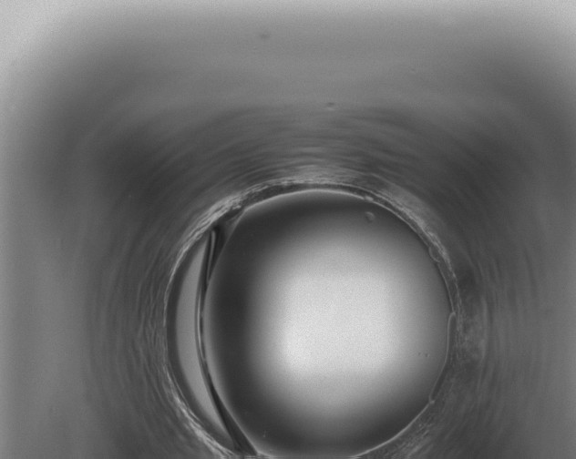 X0000080780437200612221506