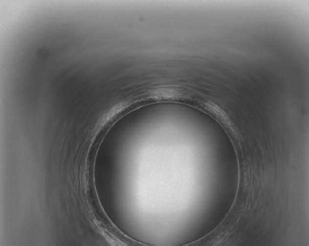 X0000080780439200612221506