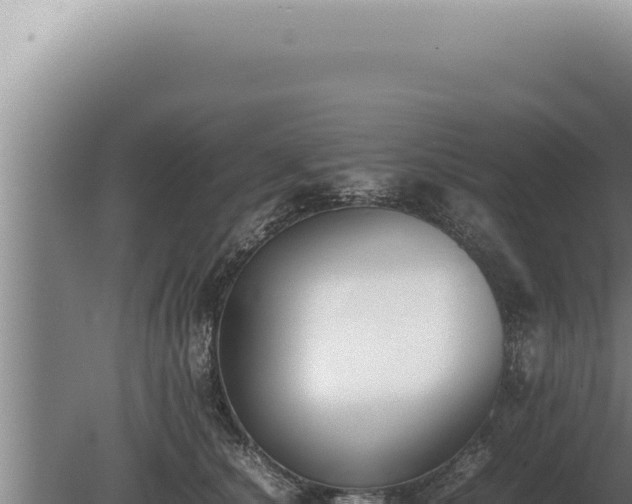X0000080780660200612221503
