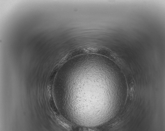 X0000080780772200612221501