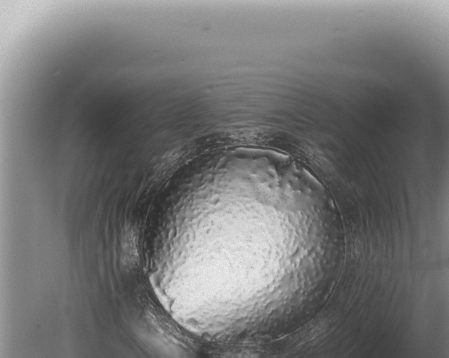 X0000080781106200612221455