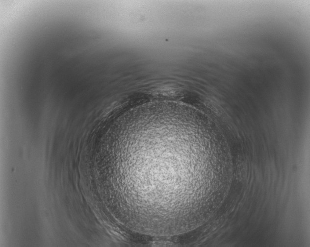 X0000080781297200612221452