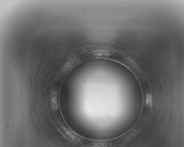 X0000080781396200612221450
