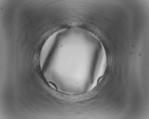 X0000080780043200701021158