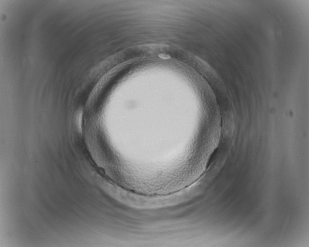 X0000080780047200701021158