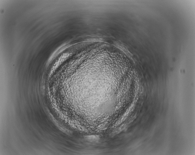 X0000080780053200701021157
