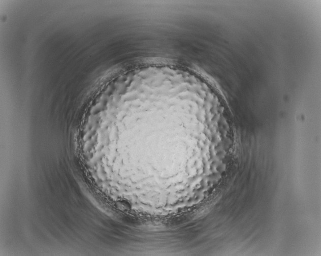 X0000080780061200701021157