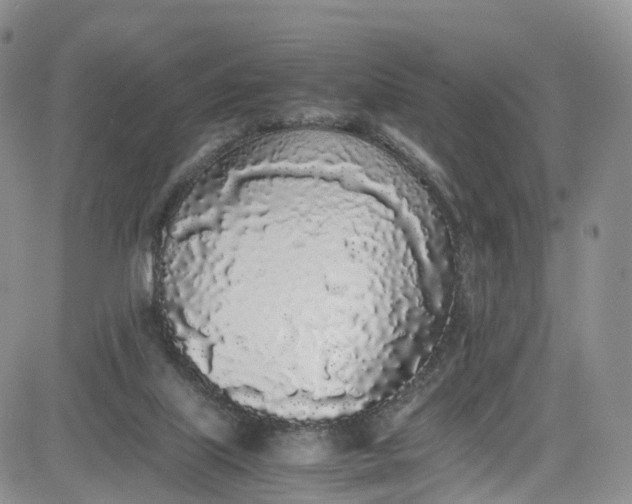 X0000080780067200701021158