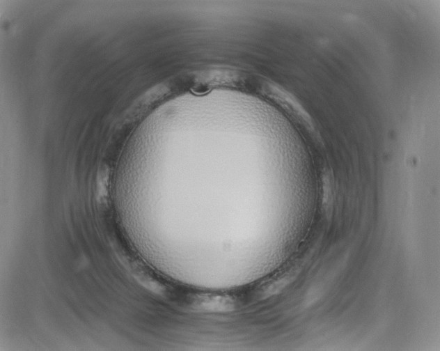 X0000080780073200701021158