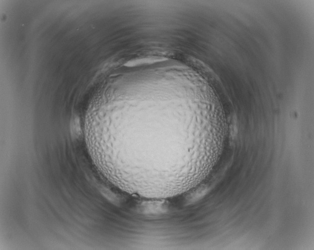 X0000080780089200701021158