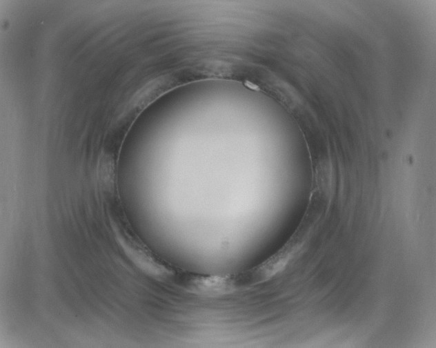 X0000080780092200701021158