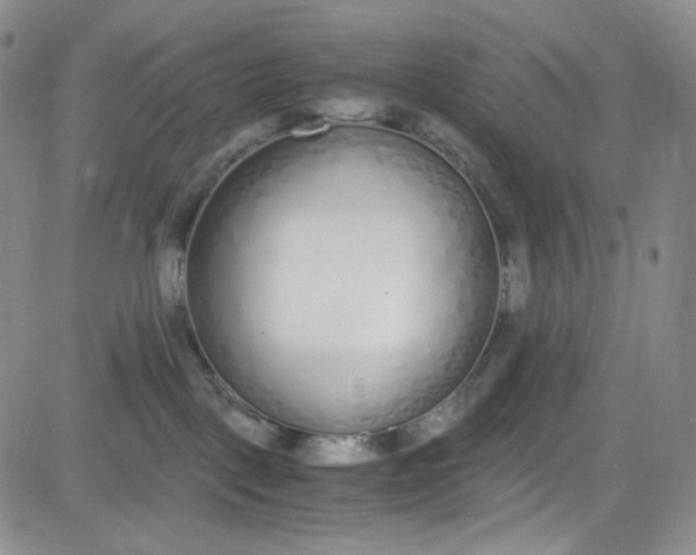 X0000080780093200701021158