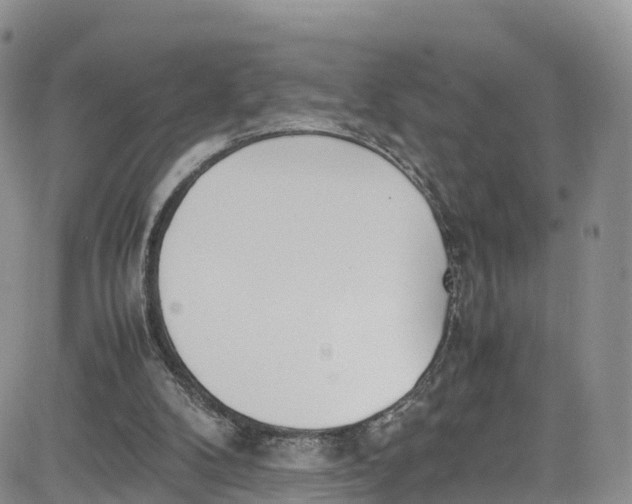 X0000080780104200701021157