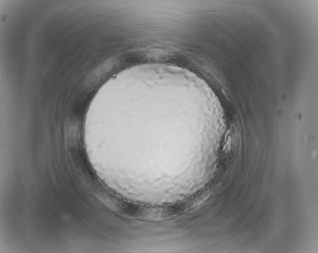 X0000080780127200701021157