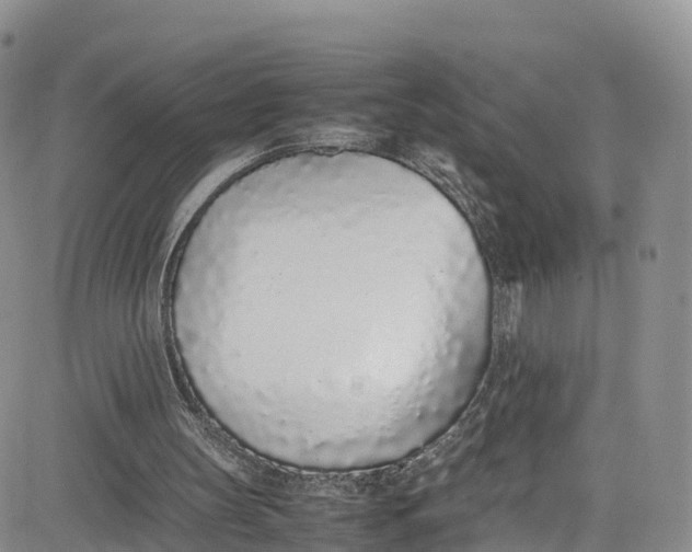 X0000080780147200701021156
