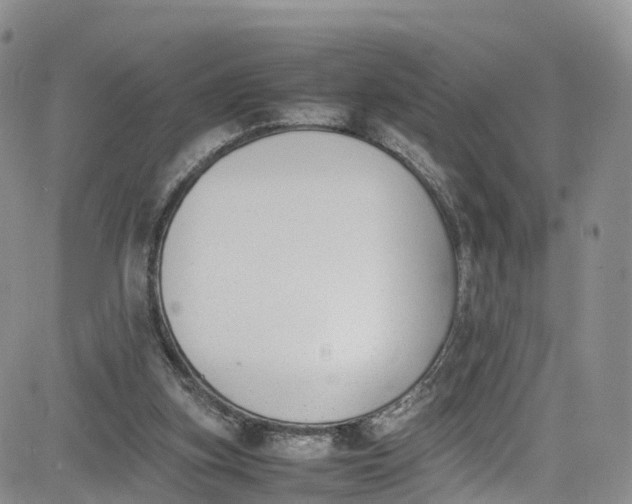 X0000080780155200701021156