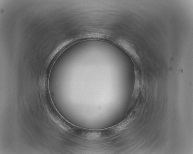 X0000080780156200701021156