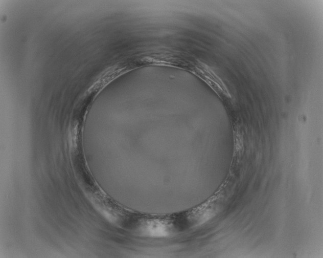 X0000080780163200701021156