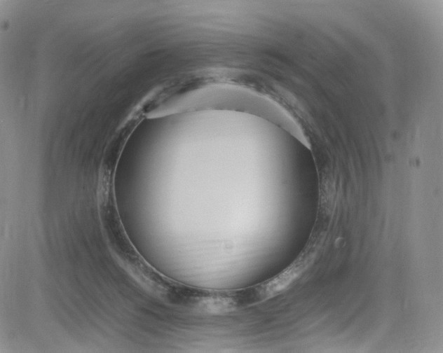 X0000080780168200701021156
