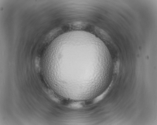 X0000080780178200701021156
