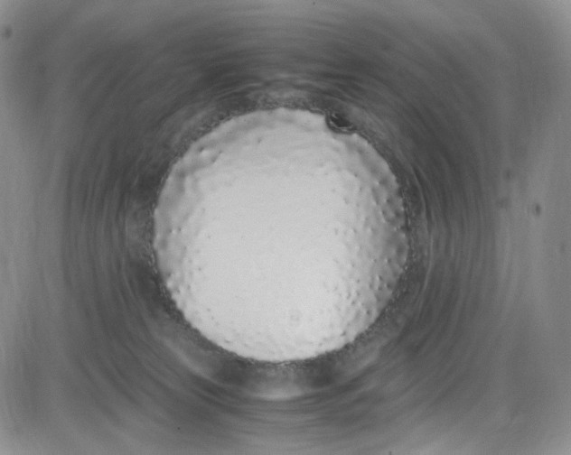 X0000080780181200701021156
